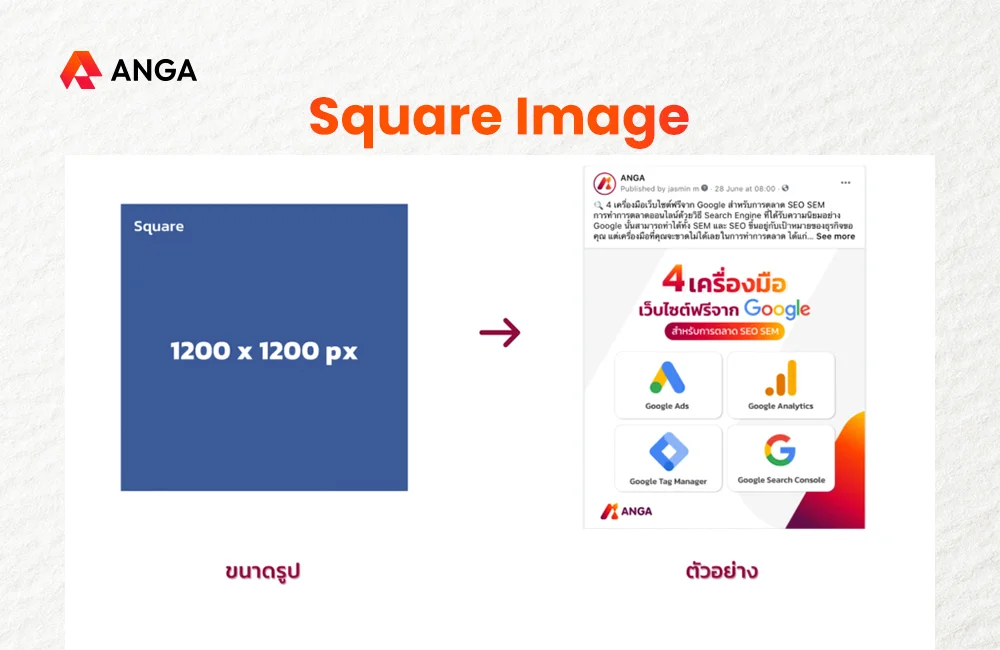 ขนาดรูป Square