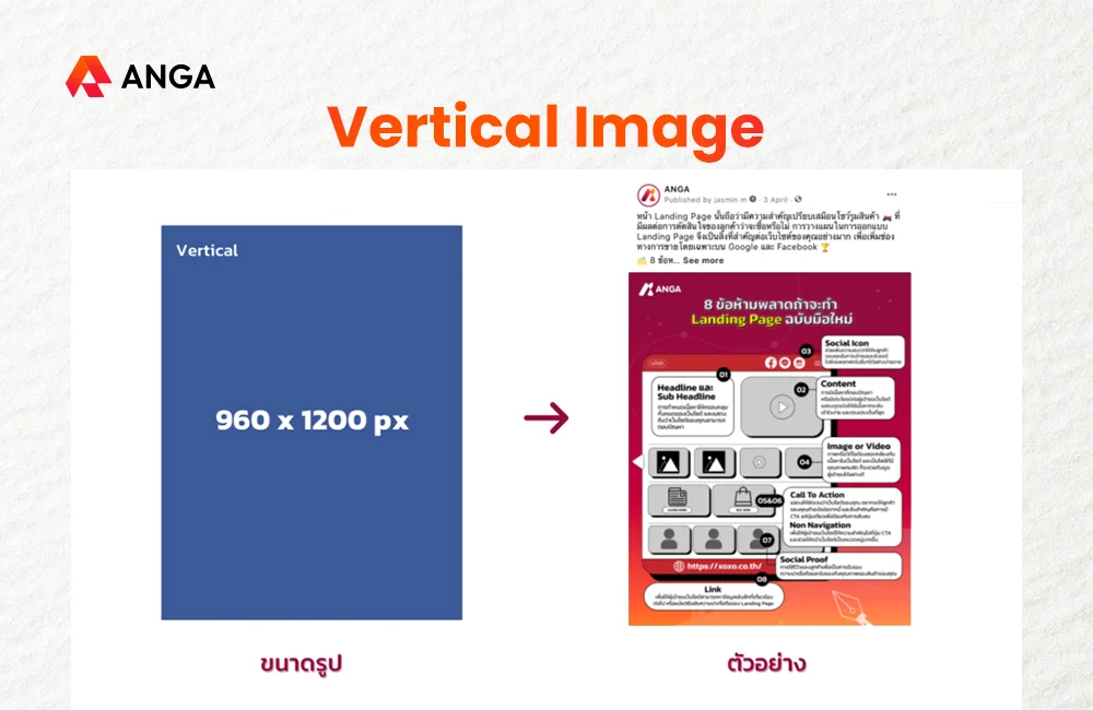 ขนาดรูป Vertical