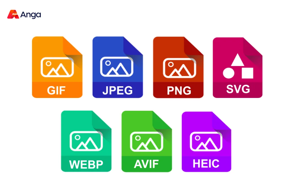 Image Format for Website