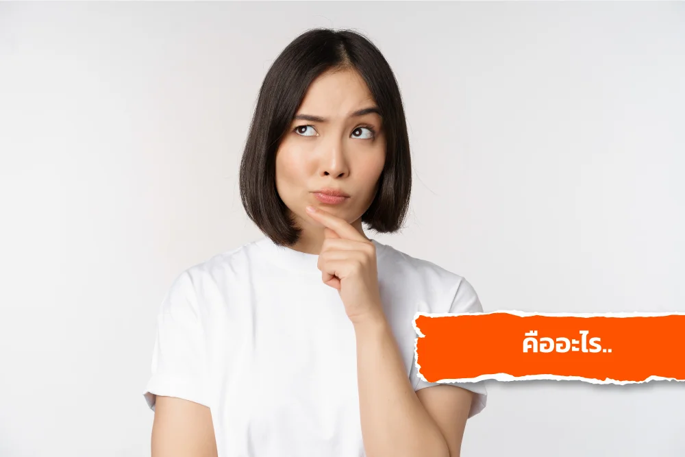 เทรนด์ค้นหาใน Google 2566 หมวดคืออะไร