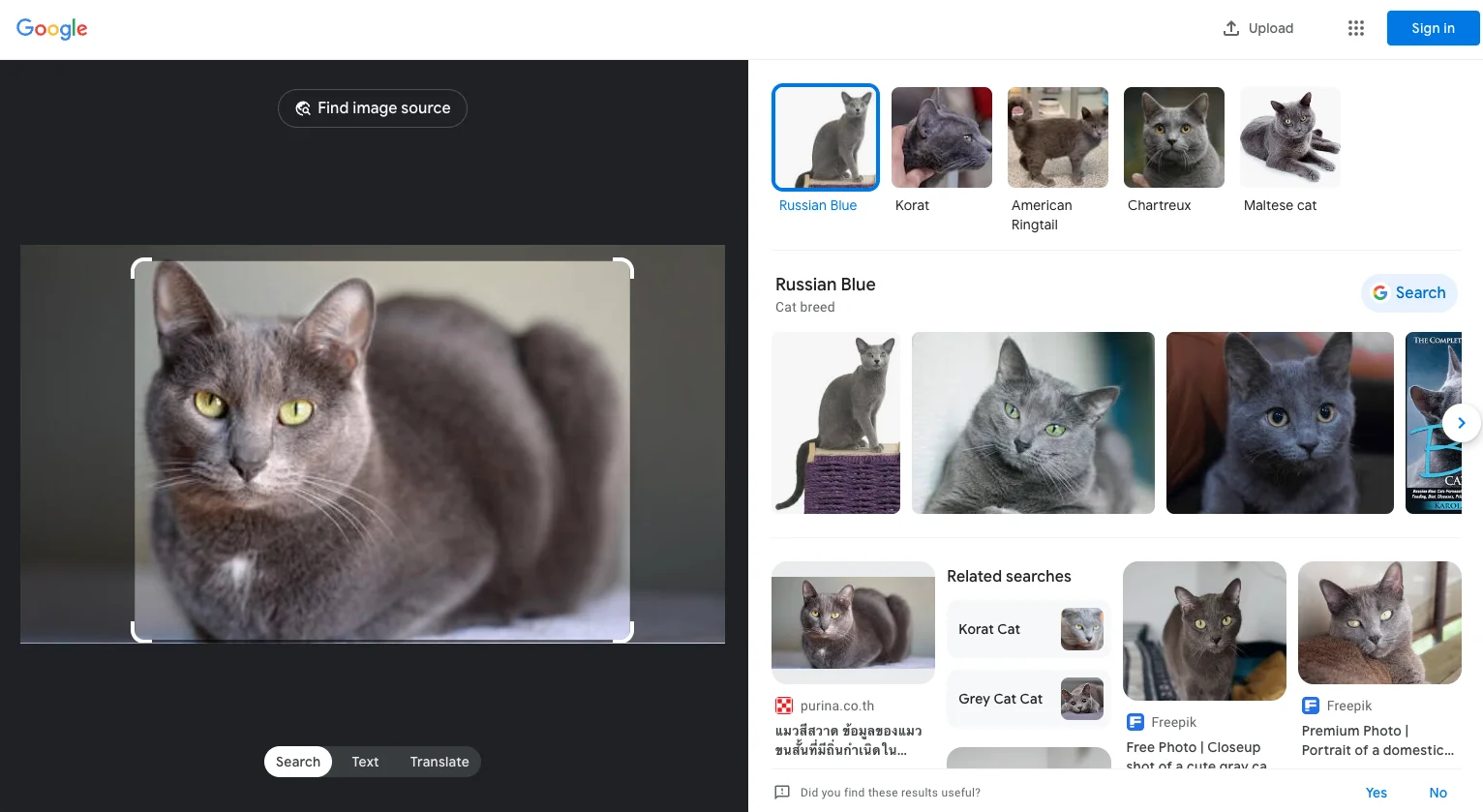 วิธีค้นหาภาพด้วย Google Lens 3)