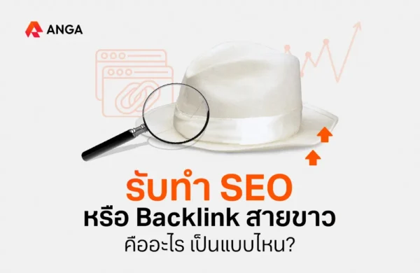 seo สายขาว