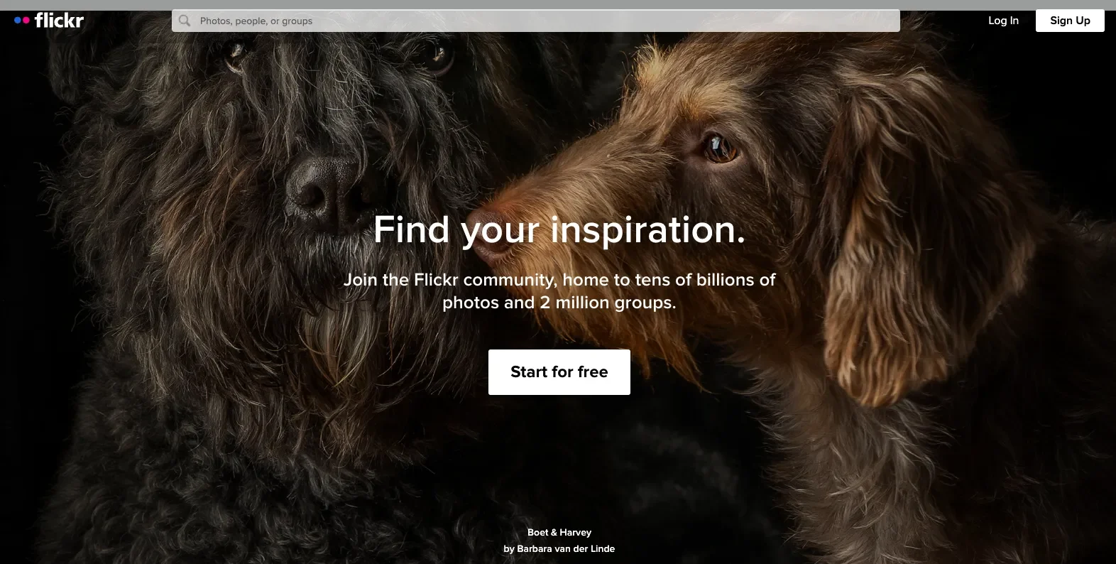 เว็บโหลดรูปฟรี Flickr