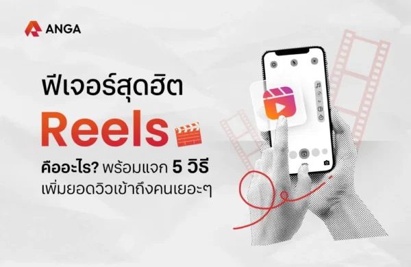 Cover - Reels คือ