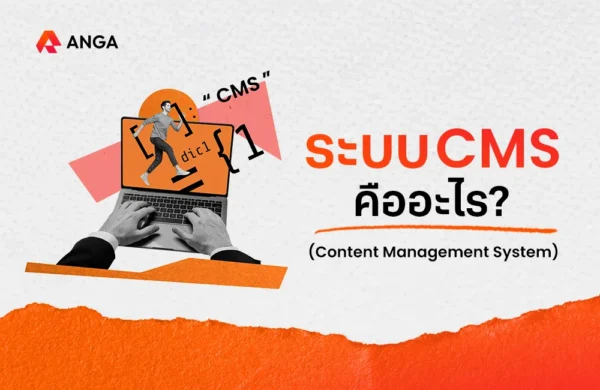 CMS คือ