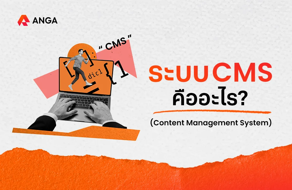 CMS คือ
