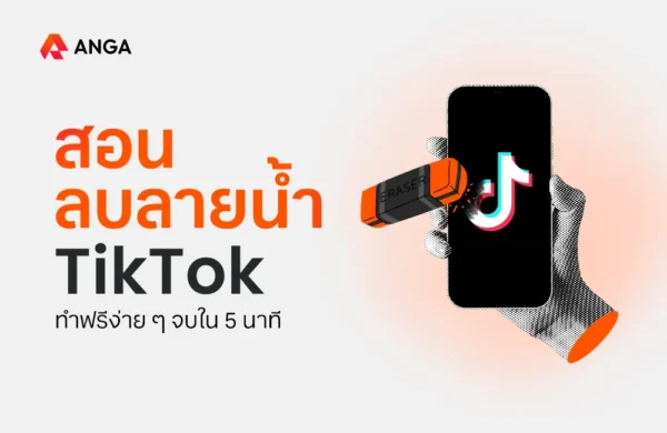 ลบลายน้ำ TikTok