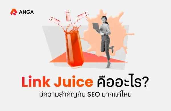 Link Juice คือ