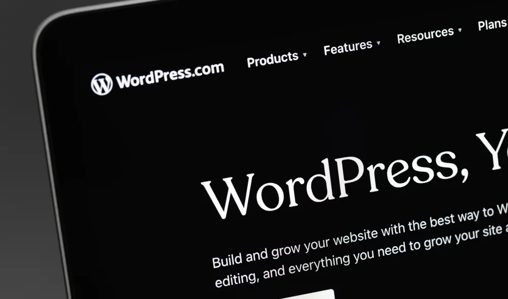 SEO WordPress