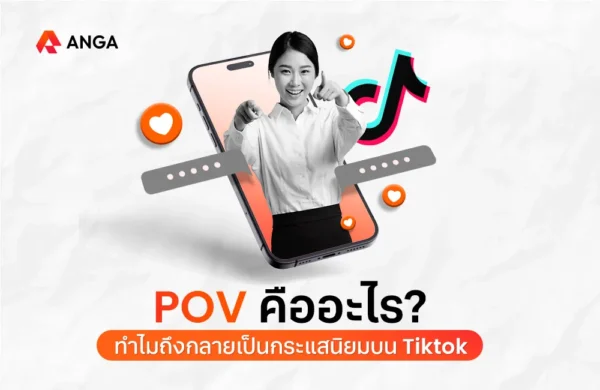 pov คือ