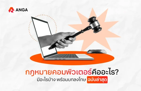 กฎหมายคอมพิวเตอร์