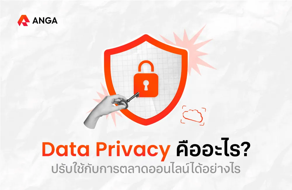 Data Privacy คือ