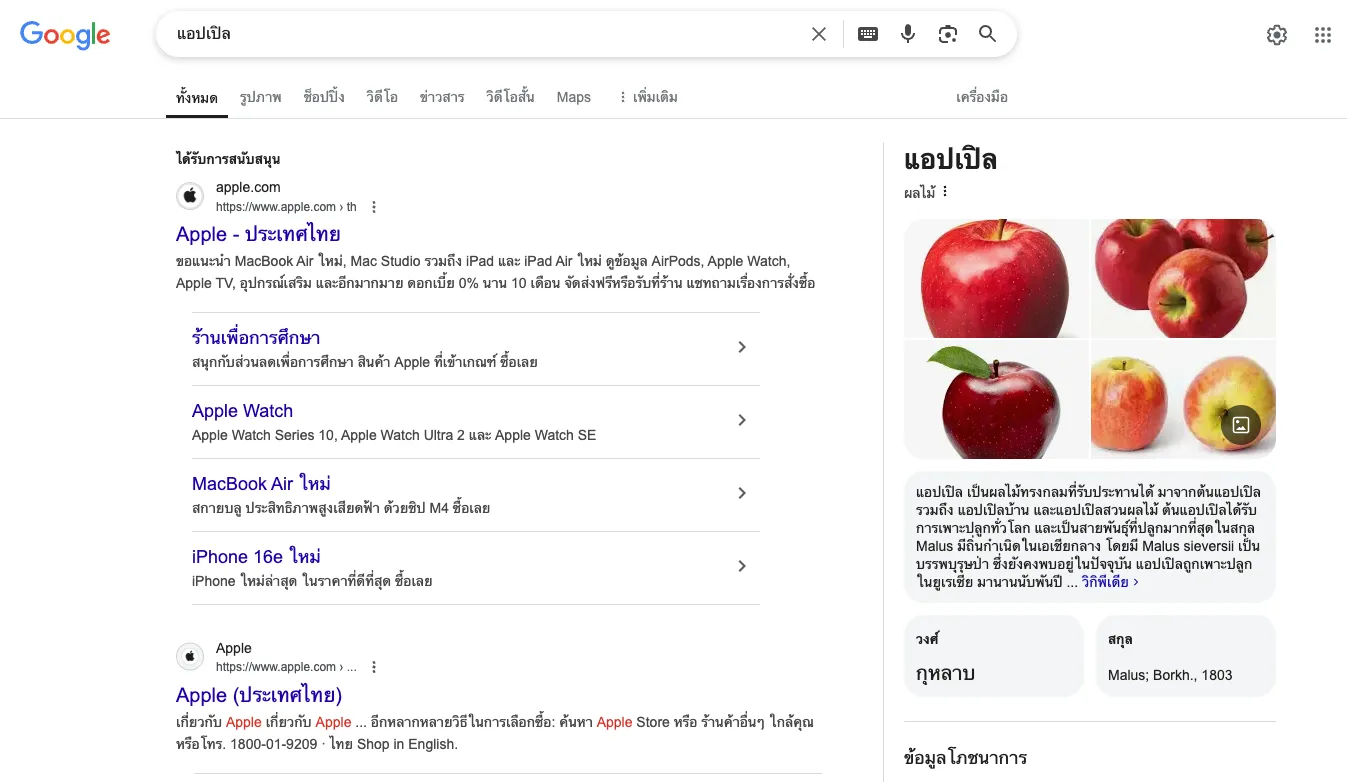 Entity SEO