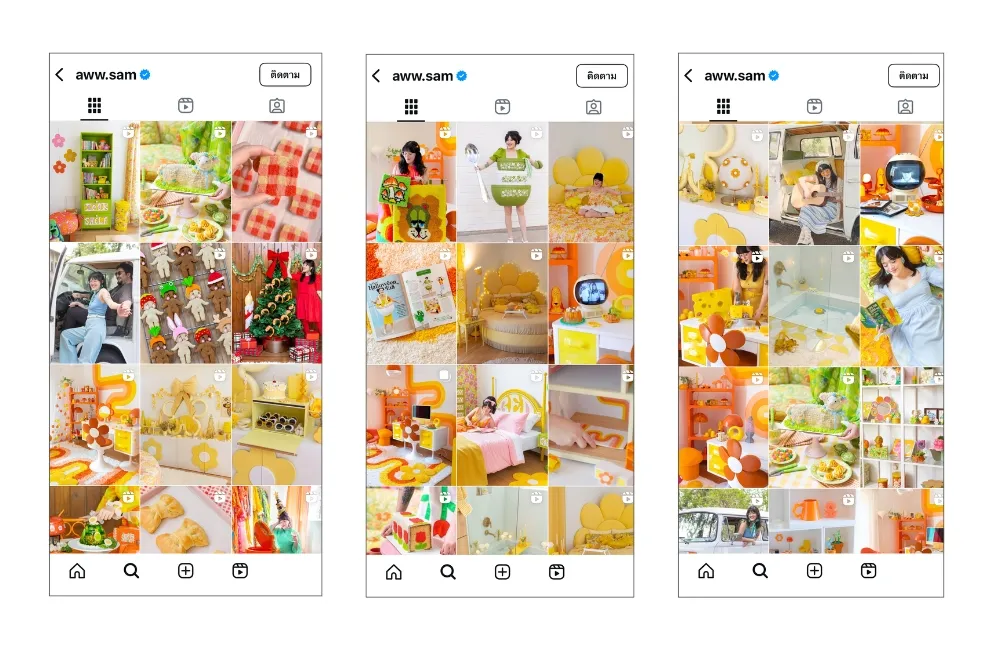 เทคนิคคุมโทนไอจี